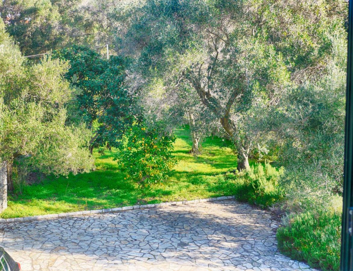 Villa Afionas - 3 Minutes From The Beach With Heated Eco-Pool And Sunset View Экстерьер фото